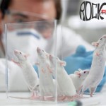 Uso de animais em pesquisas e testes (S04E05)