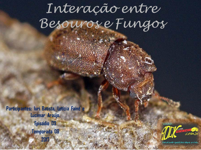 Interação entre besouros e fungos (S08E09)