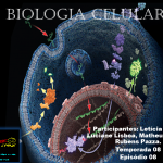 Biologia Celular (S08E08)