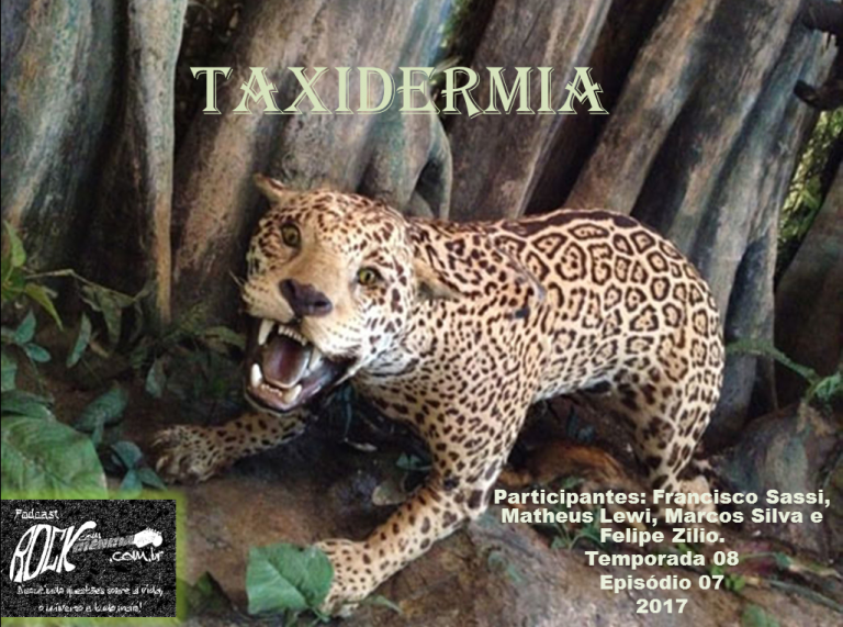 Taxidermia (S08E07)