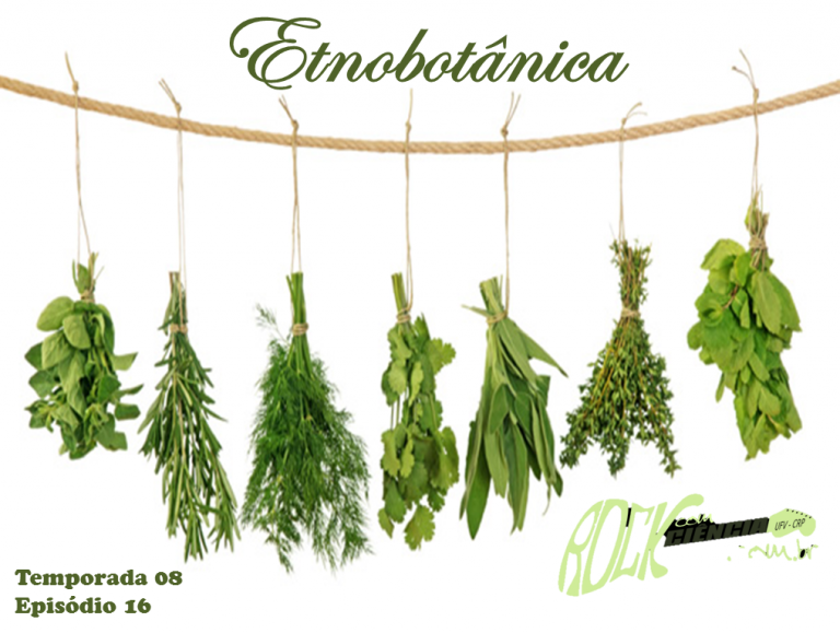 Etnobotânica (S08E16)
