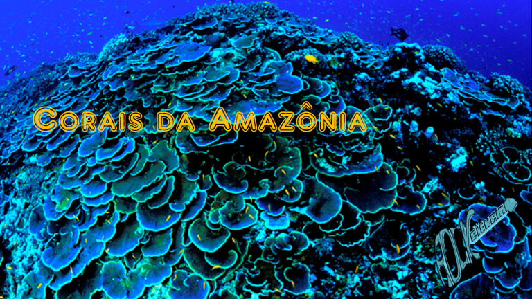 Corais da Amazônia (S08E23)