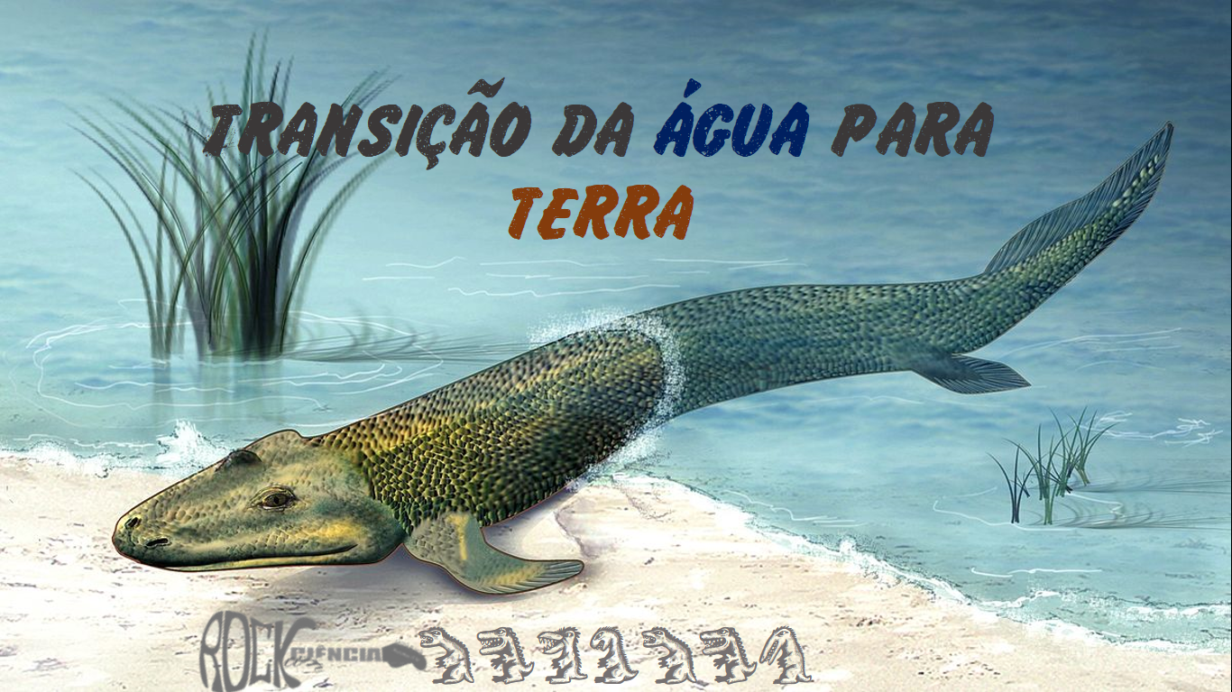 Transição da água para terra (S09E13) episode artwork