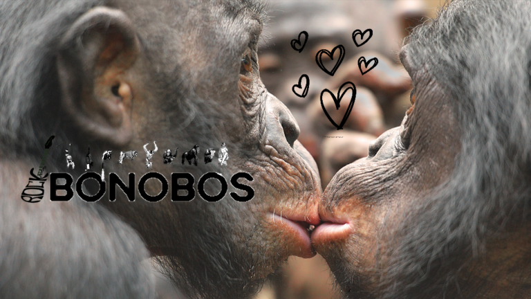 Bonobos (S09E15)