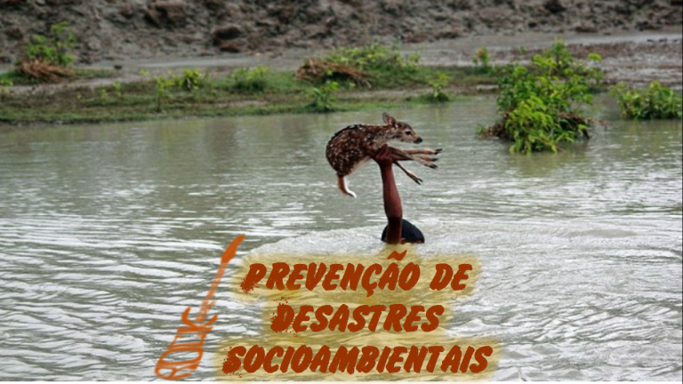 Prevenção de Desastres Socioambientais (S09E23)