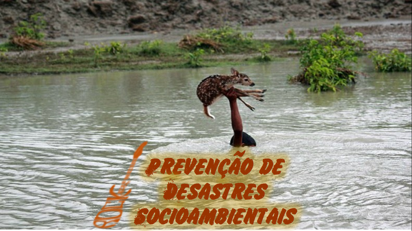 Prevenção de Desastres Socioambientais (S09E23) episode artwork