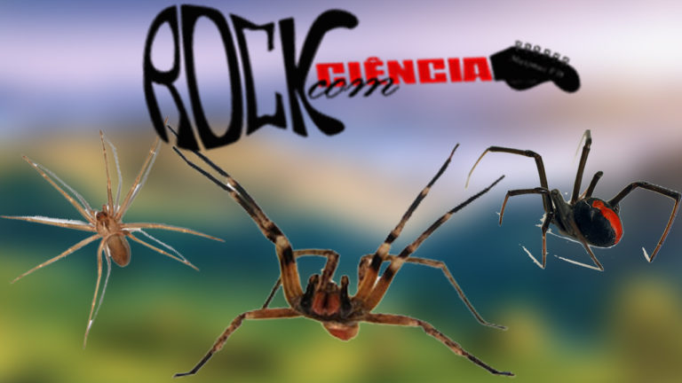 Rock das Aranhas (S10E02)
