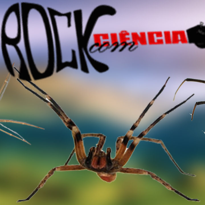 Rock das Aranhas (S10E02) episode artwork