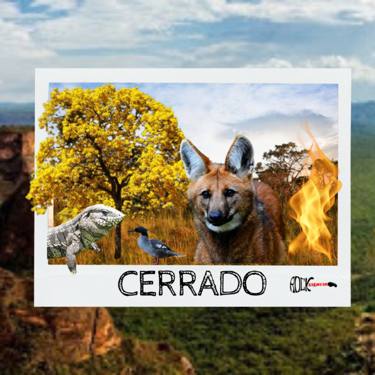 Cerrado (S12E13)