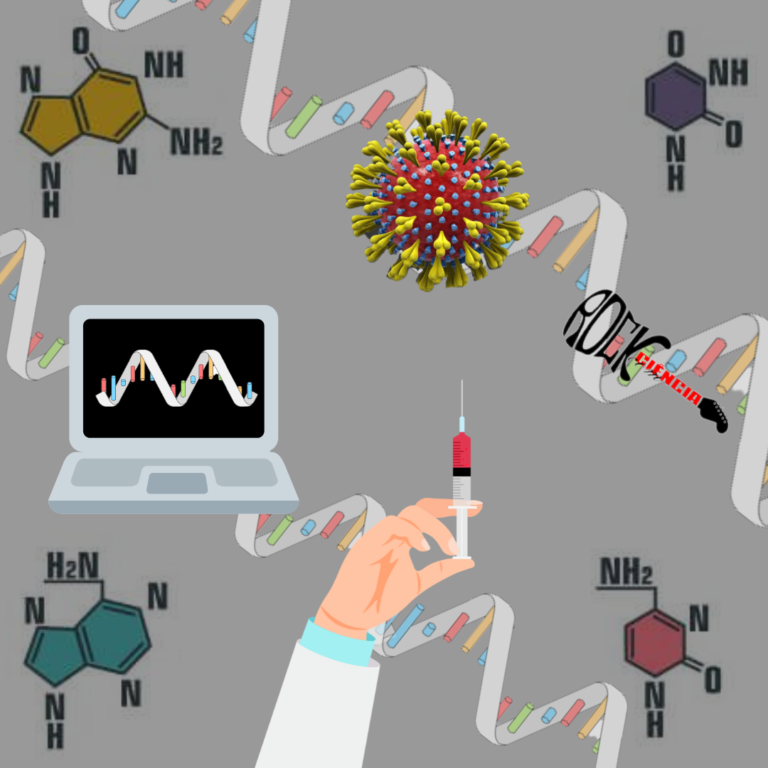 Ácidos Ribonucleicos – RNAs (S12E14)