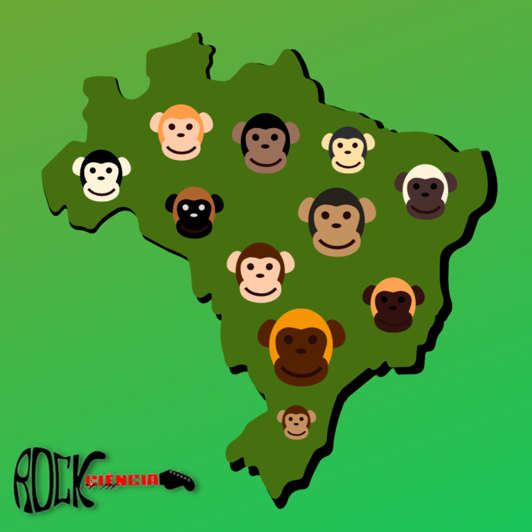 Conservação e Comportamento de Primatas (S12E26)