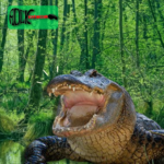 Crocodilianos (S12E36)