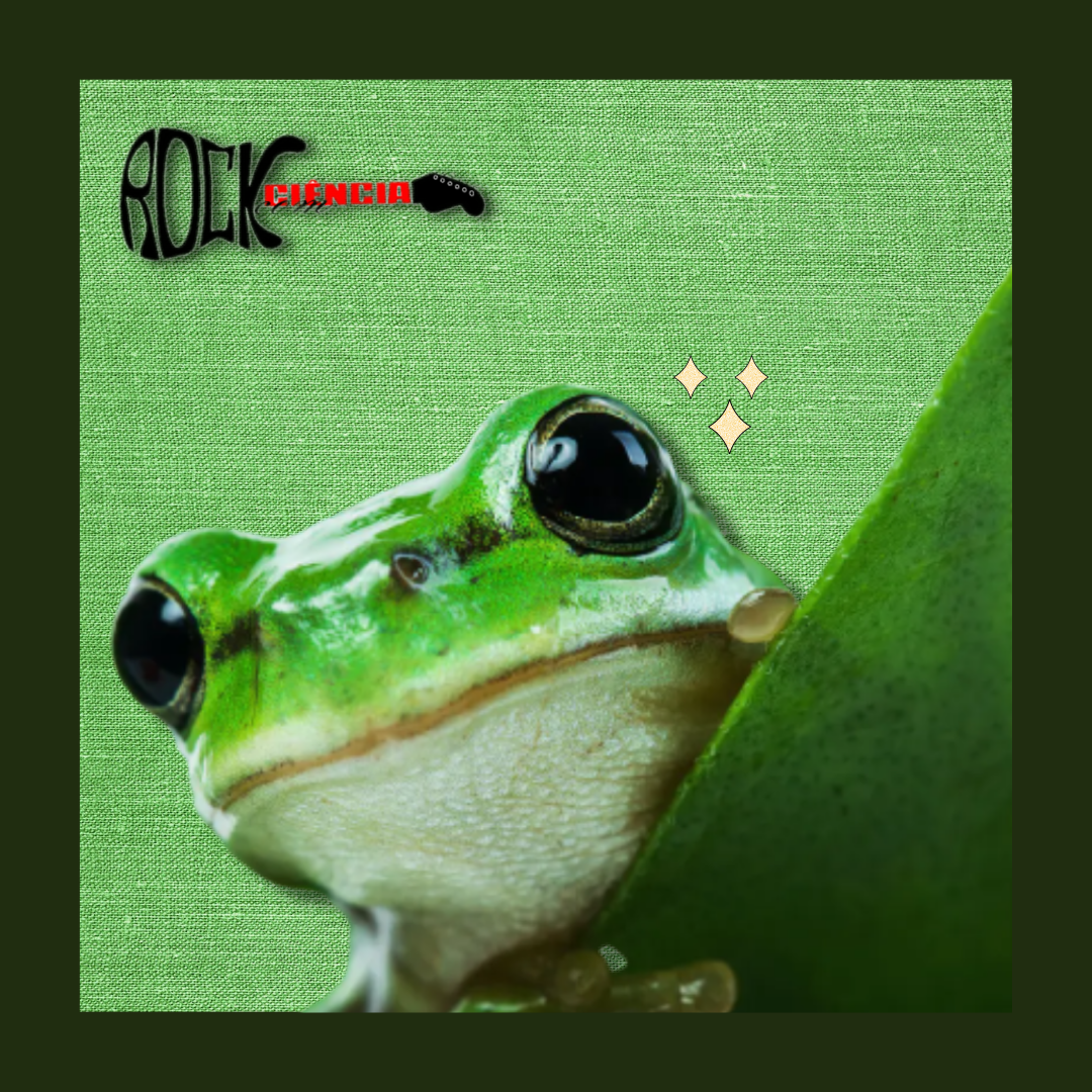 Rock com Ciência