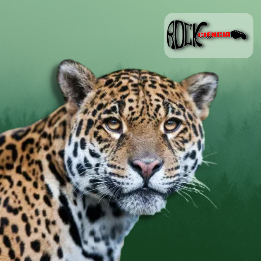 Rock com Ciência