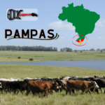 Pampas (S13E22)