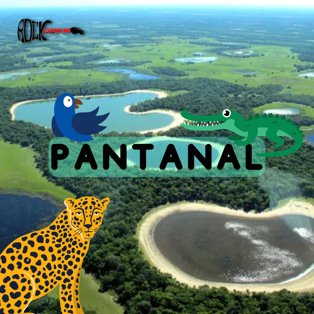 Pantanal (S14E04)
