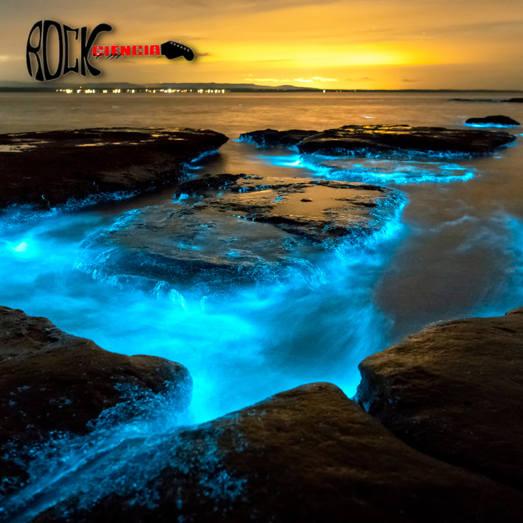 capa episódio bioluminescencia