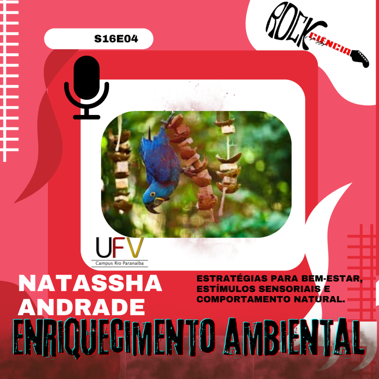 Enriquecimento Ambiental (S16E04)