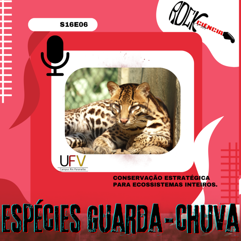 Espécies guarda-chuva (S16E06)